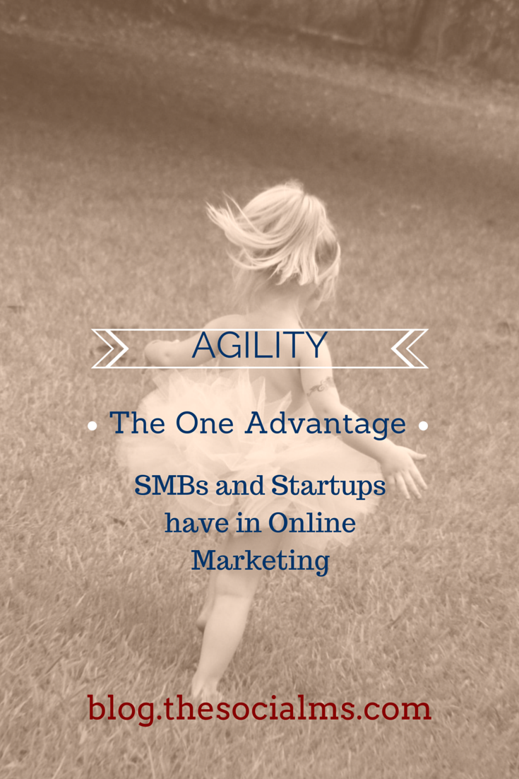 Agility: The Ability to react and make quick decisions gives a huge competitive Advantage to SMBs and Startups in Online Marketing