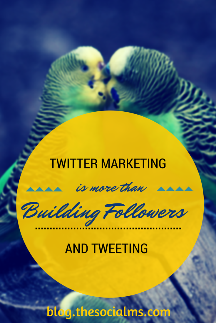 To be successful with Twitter Marketing your need more than followers and sending out tweets: A clear strategy, goals and focusing on your target audience.