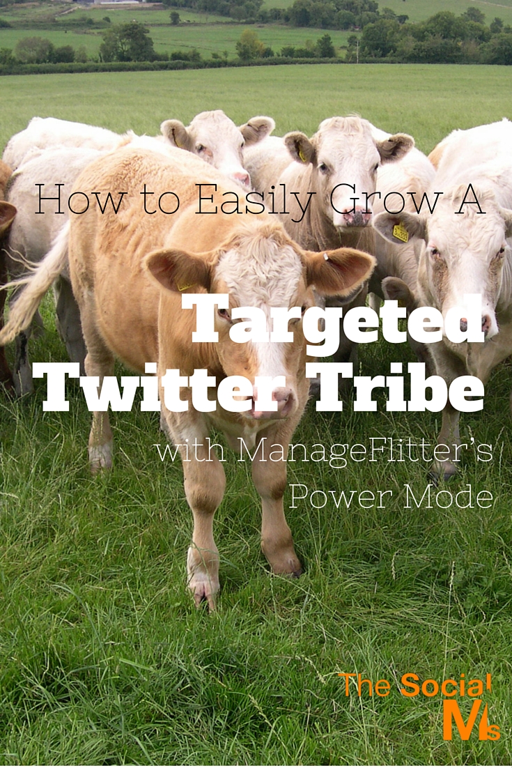 ManageFlitter: A tool that can make growing a targeted Twitter account easy with its highly recommended Power Mode. Targeting on Twitter can be easy. Twitter automation, Twitter tips, twitter tool