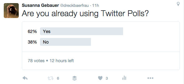How to use Twitter Polls and the Best Twitter Poll Ideas and Examples
