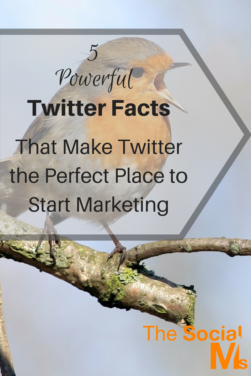 Do you know what makes Twitter a perfect starting point for marketing? Here are the powerful Twitter facts that will lead you to Twitter marketing success