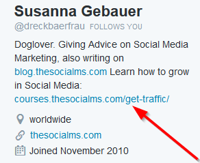 Susanna-Gebauer-Twitter-Bio