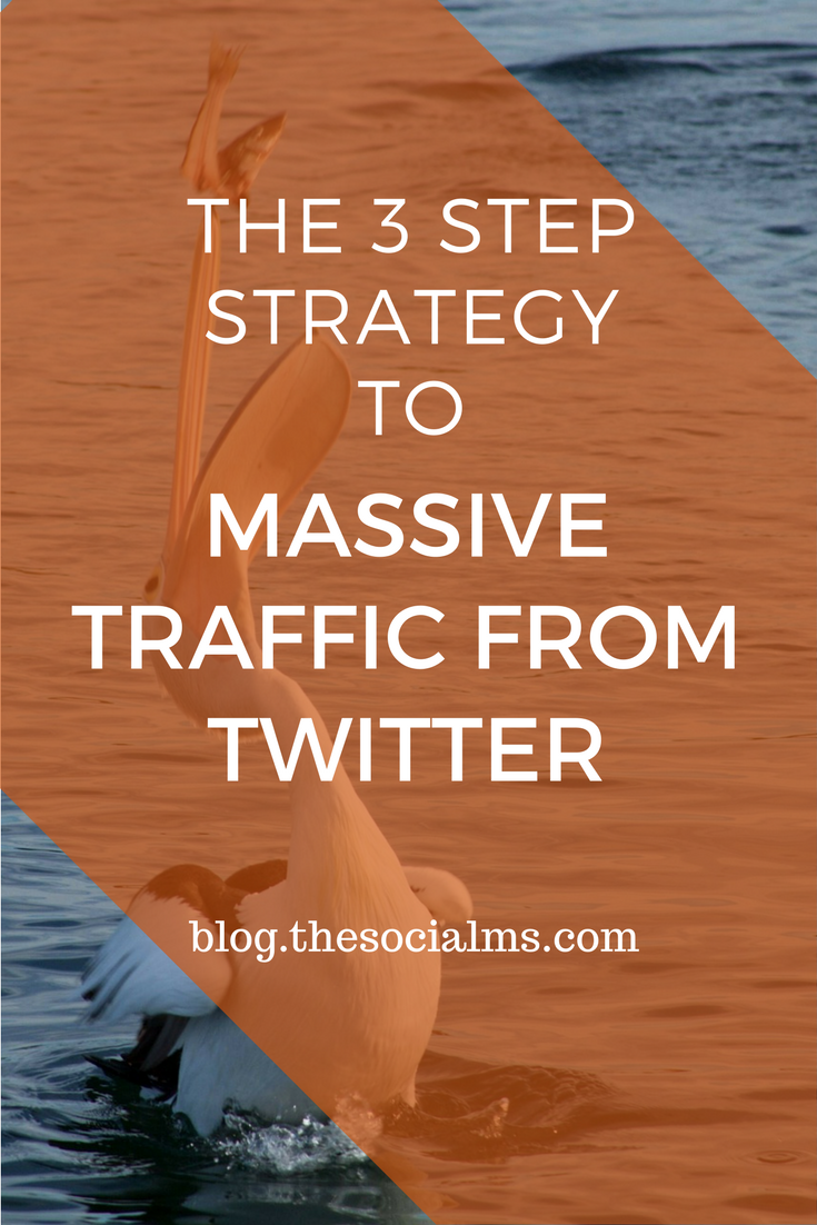 The three key elements of a successful Twitter marketing strategy to getting massive traffic from Twitter to any blog. And you can use it, too! twitter marketing tips, twitter marketing success, twitter traffic, twitter strategy, blog traffic from twitter