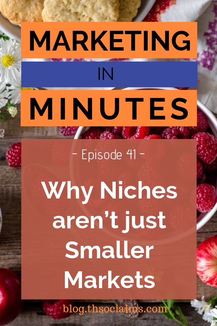 One piece of advice almost any entrepreneur hears when starting out is that you should focus on a niche. Most people giving that advice don't even understand what that means. If a niche is not a smaller market, what is a niche. #nichemarketing #smallbusinessmarketing #bloggingniche #blogniche #entrepreneurship #startupmarketing #marketinginminutes