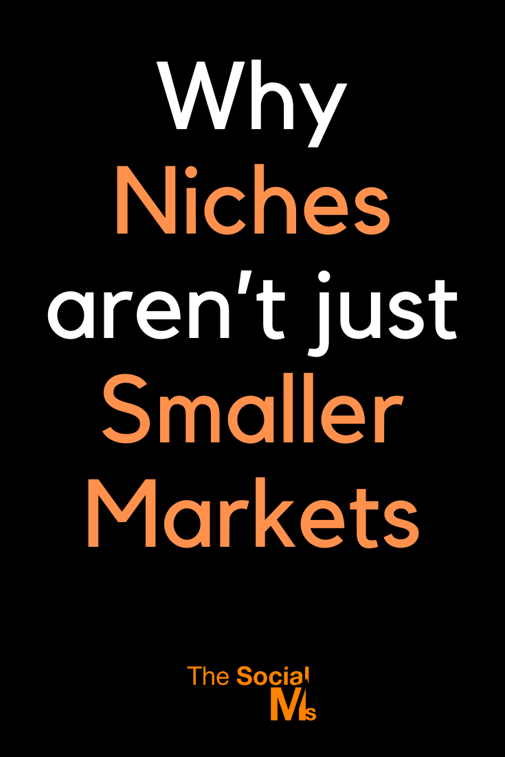 A piece of advice every new entrepreneur get's to hear is to focus on a niche. And, while this can be good advice, you need to understand that a niche is not just a smaller market. #niche #marketingniche #focusgroup #blogaudience #marketingstrategy #digitalmarketing