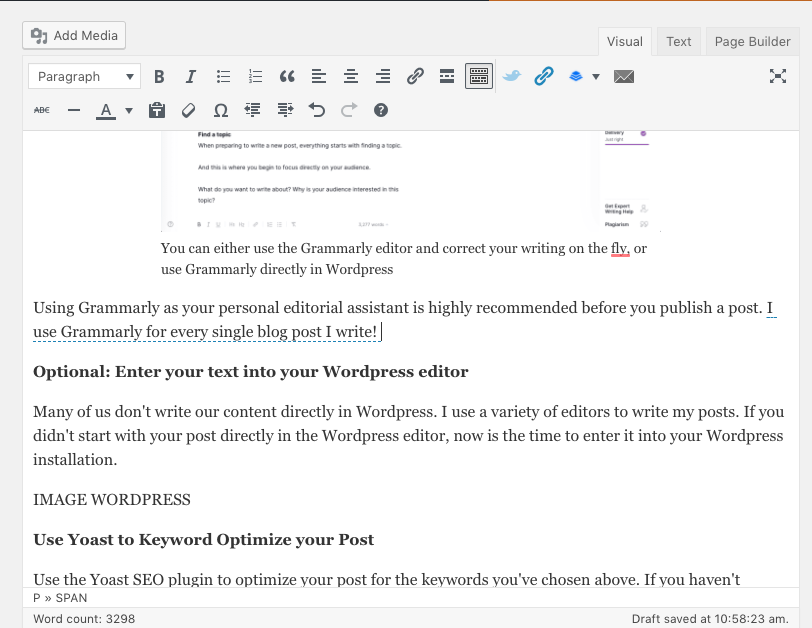 Wordpress Editor - Publish a a blog post