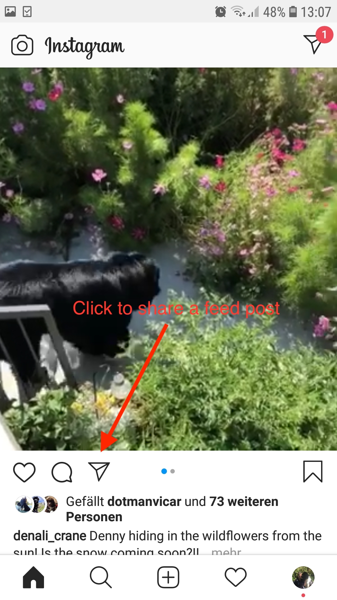 How to share a feed post to your Instagram Story